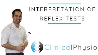 Interpretation of Reflex Tests  Clinical Physio [upl. by Micaela]