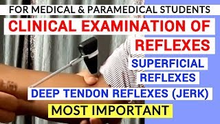 REFLEXES EXAMINATION  CLINICAL LAB  PHYSIOLOGY PRACTICALS [upl. by Eixel]