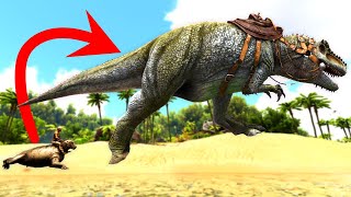 All Rideable Dinosaurs and Creatures on The Island Ark Survival Evolved [upl. by Lolanthe981]