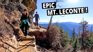 Our Favorite Smoky Mountains Hike  Alum Cave Trail to Mount LeConte  SMNP [upl. by Eninahs]