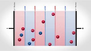 Electrodialysis Reversal for Selective Ion Extraction  Flex EDR Selective [upl. by Enois757]