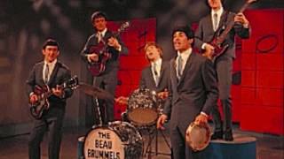 THE BEAU BRUMMELS quotLAUGH LAUGHquotLYRICS [upl. by Ispep96]