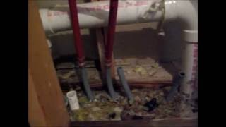 Polybutylene Plumbing Repair [upl. by Lagiba]