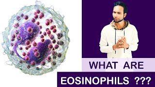 The Role of the Eosinophil in COPD [upl. by Herstein]