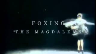 Foxing  quotThe Magdalenequot Audio [upl. by Atiral482]