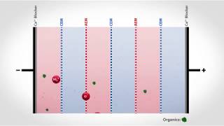 Electrodialysis Reversal to Treat Organic Wastewater  Flex EDR Organix [upl. by Llewej188]