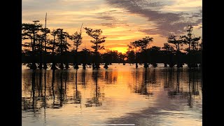 ReelFoot Lake  Bluegill Fishing Resort Reviews and Catfishing [upl. by Inafit]