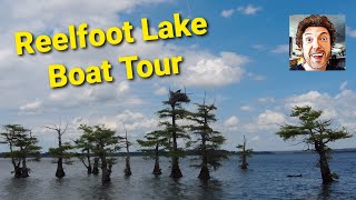 Reelfoot Lake State Park Wildlife Boat Tour  The Lake Made by an Earthquake  Tiptonville Tennessee [upl. by Norit]