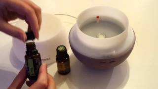 How to use a diffuser for your Essential Oils [upl. by Grobe]