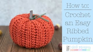 Easy Ribbed Crochet Pumpkin Video Tutorial [upl. by Kilam]