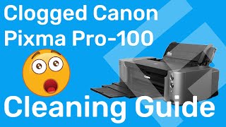 How to Clean a Severely Clogged Canon Print Head – Freehand Graphics™ [upl. by Morse]