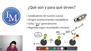 Bioquímica  Enzimas  Catalizadores Enzimáticos [upl. by Nowad]