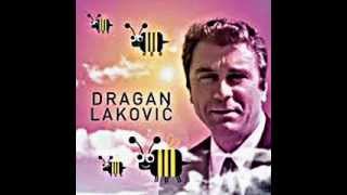 Dragan Lakovic Nek svud ljubav sja [upl. by Ittap]