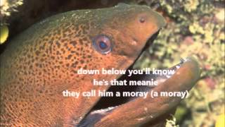 thats a moray lyrics [upl. by Anavas793]