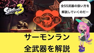 サーモンラン全武器解説【野良ノーミスカンスト】【スプラトゥーン3】 [upl. by Aiyekal491]