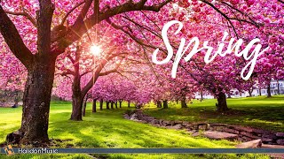 Classical Music for Spring [upl. by Peoples81]