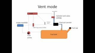 6Speeds Lectures How your EVAP system works [upl. by Danyluk714]