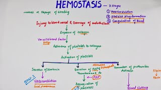 Hemostasis  Easy Flowchart  Physiology [upl. by Dranyam]