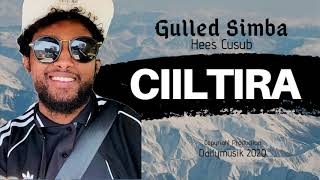 Gulled Simba  CIILTIRA Hees Cusub Official Music [upl. by Zilber]