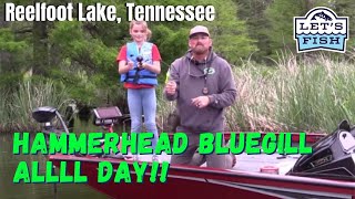 GIANT BLUEGILL AT REEL FOOT Lets Fish 122021 SouthEAST Reelfoot Lake Tennessee [upl. by Hugibert936]