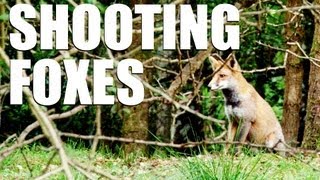 Fieldsports Britain  Shooting foxes [upl. by Adlare]