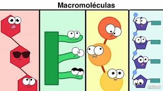 Macromoléculas [upl. by Auop]