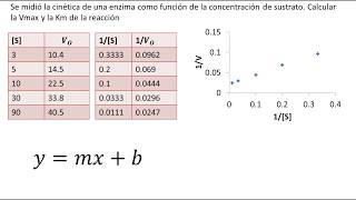 Cinética Enzimática  Diagrama de LineweaverBurk  Ejemplo [upl. by Areic390]