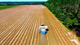 Harvesting Peanuts and New Farm Pond Update [upl. by Cosette]