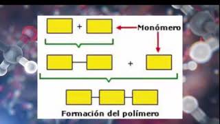 Macromoléculas sintéticas [upl. by Peirsen339]