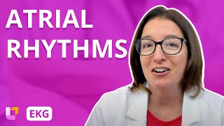 Atrial Rhythms  EKG Interpretation  LevelUpRN [upl. by Barnaby707]