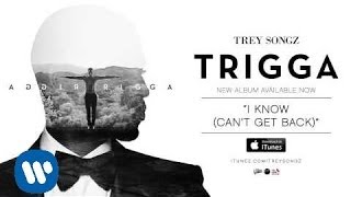 Trey Songz  I Know Cant Get Back Official Audio [upl. by Garwood571]