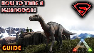 ARK HOW TO TAME A IGUANODON 2020  EVERYTHING YOU NEED TO KNOW ABOUT TAMING A IGUANODON [upl. by Allsopp]