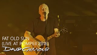 David Gilmour  Fat Old Sun Live At Pompeii [upl. by Niriam]