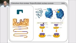 Enzimas y catálisis enzimática V 17 [upl. by Ecinev268]