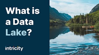 What is a Data Lake [upl. by Nahum404]