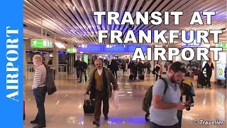 TRANSIT WALK AT FRANKFURT Airport FRA Terminal 1  Connection Flight Transfer Arriving amp Departing [upl. by Wengert394]