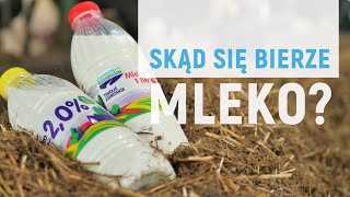 Skąd się bierze mleko [upl. by Cavil]