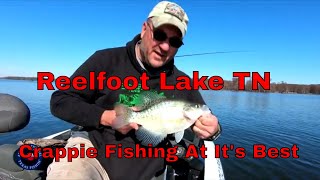 FISHING REELFOOT LAKE With Tony Hughes [upl. by Esirtal]