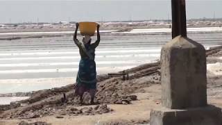 Sahayamatha Saltworks in India [upl. by Erehs215]